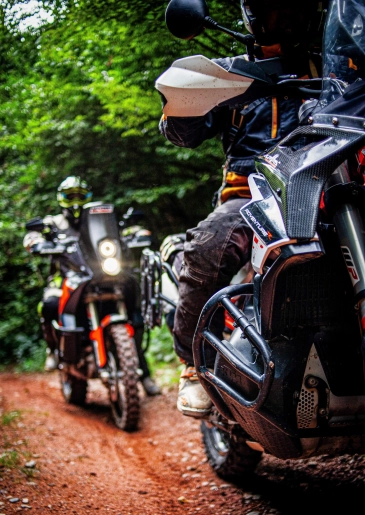 Photos de motos dans une forêt