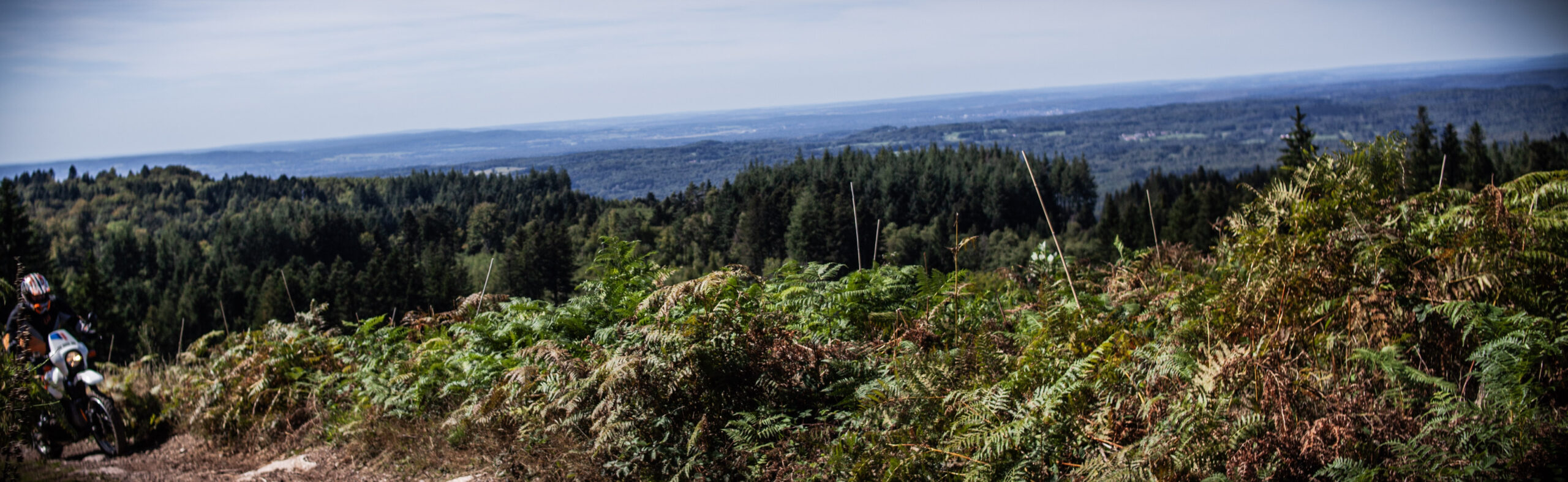 Panorama des Vosges avec un motard sur un chemin